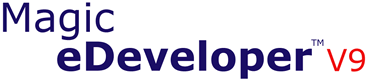 Magic eDeveloper V9